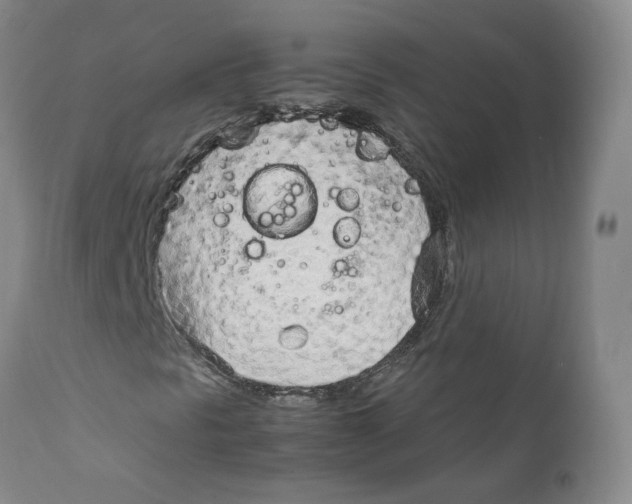 X0000111921297200908241040