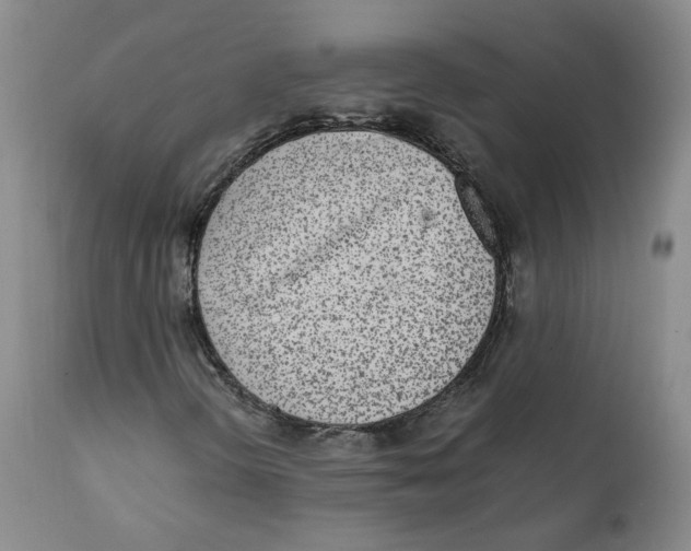 X0000111921298200908241040