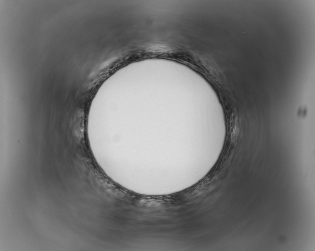 X0000111921301200908241041