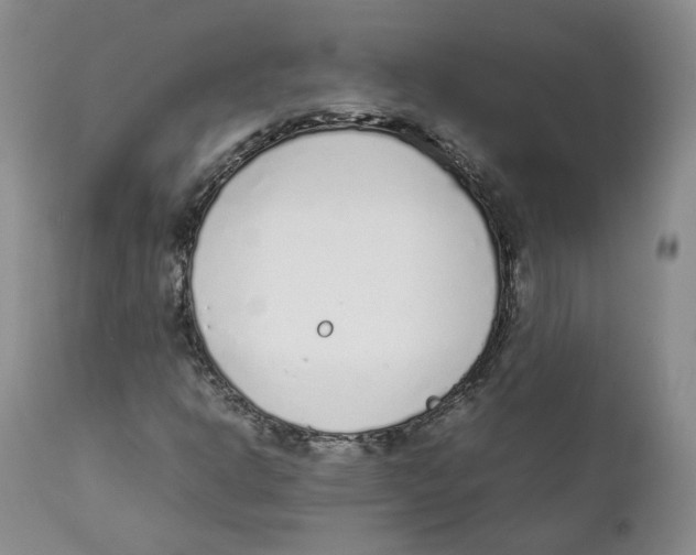 X0000111921302200908241041