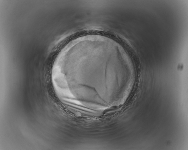 X0000111921303200908241041