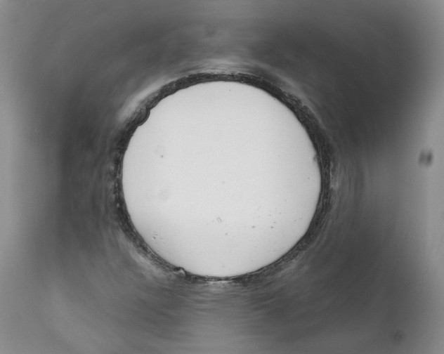 X0000111921304200908241041