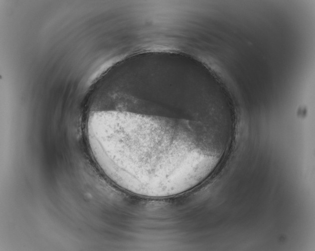 X0000111921306200908241041