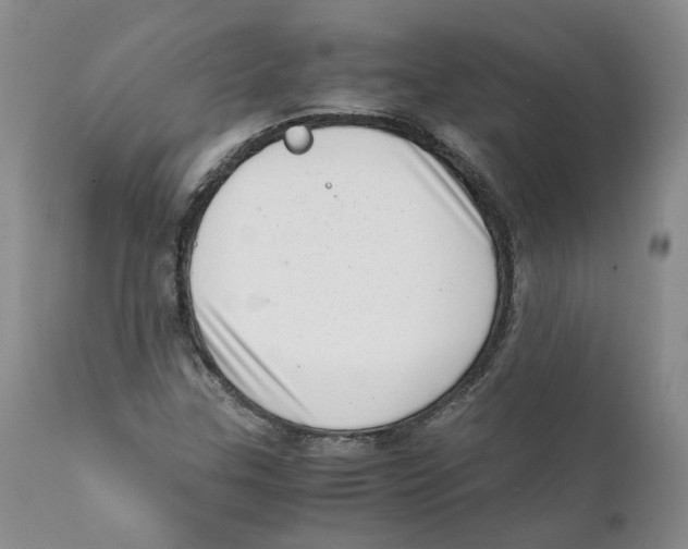 X0000111921307200908241041