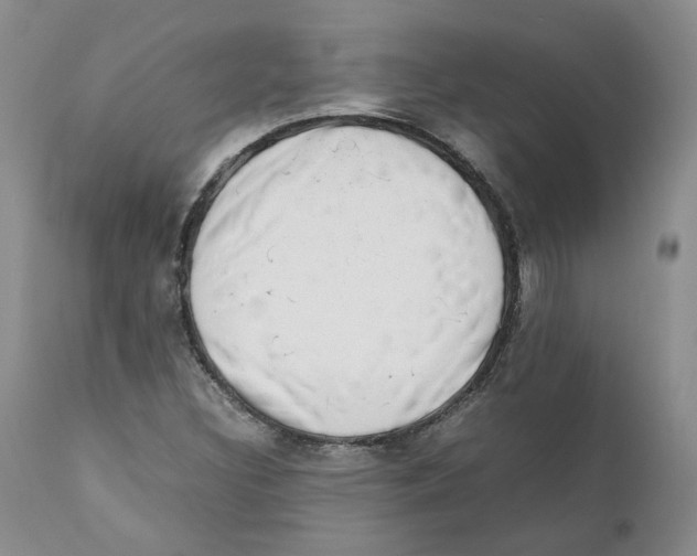 X0000111921308200908241041