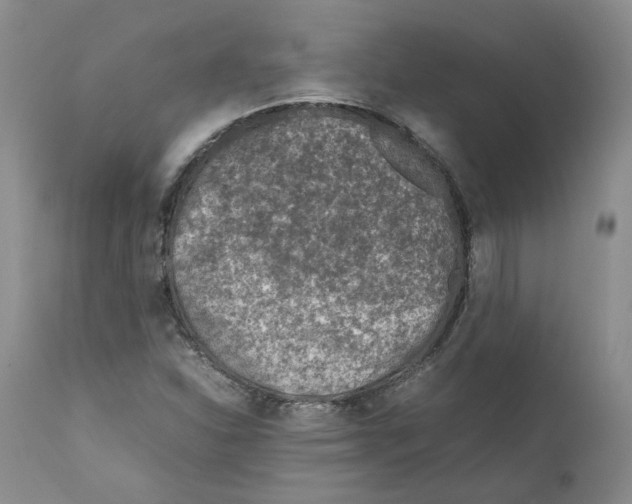 X0000111921310200908241041