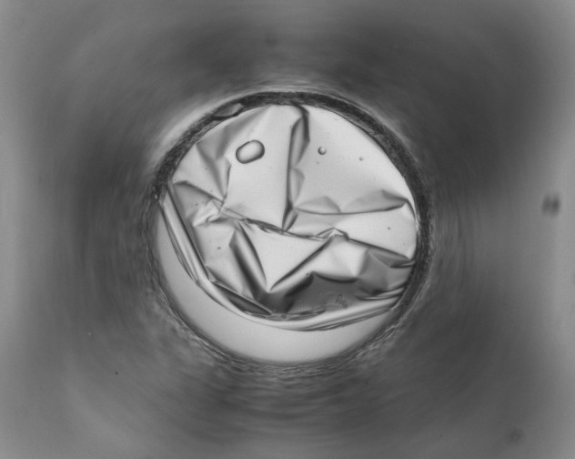 X0000111921311200908241041