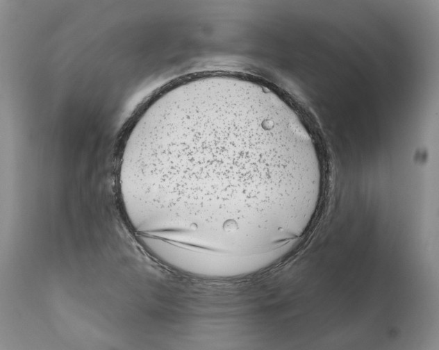 X0000111921312200908241041