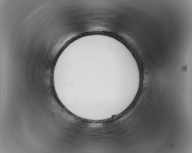 X0000111921313200908241041