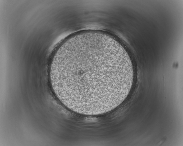 X0000111921315200908241041