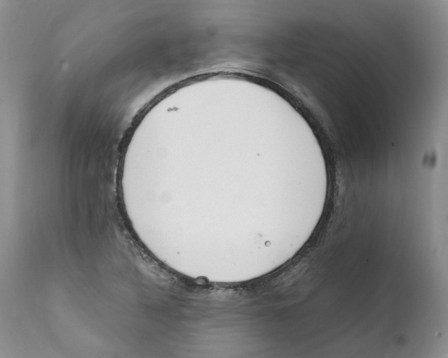 X0000111921316200908241041