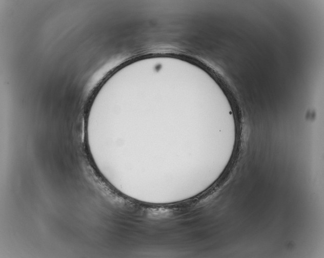 X0000111921317200908241041