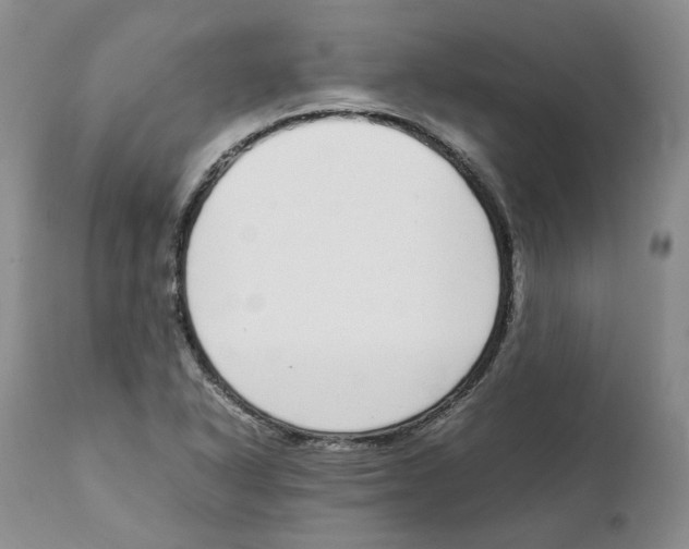 X0000111921318200908241041