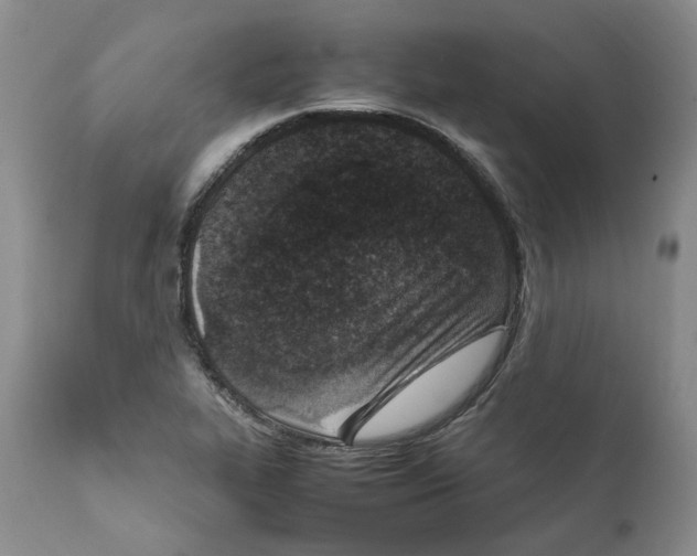 X0000111921319200908241041