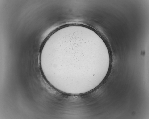 X0000111921320200908241041