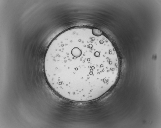 X0000111921321200908241041