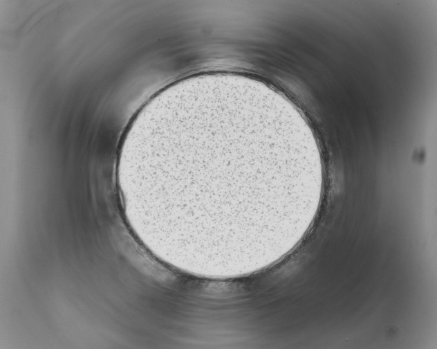 X0000111921322200908241041