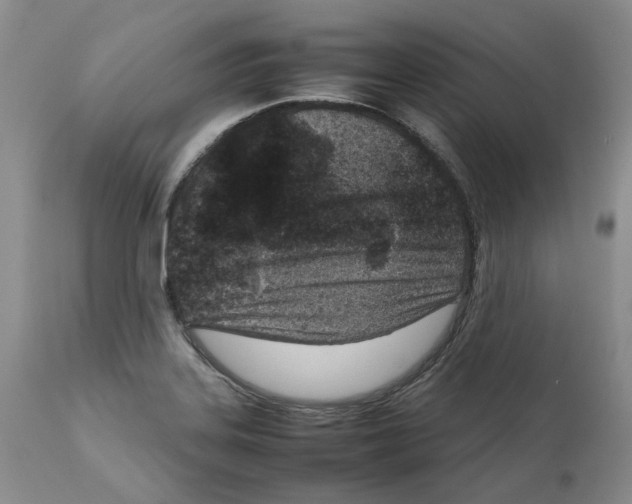 X0000111921323200908241041