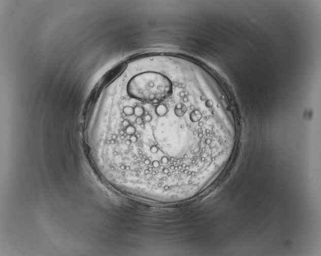 X0000111921325200908241041