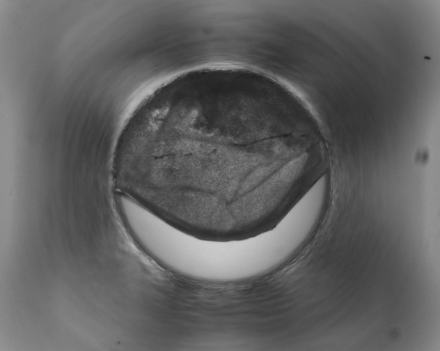 X0000111921327200908241041