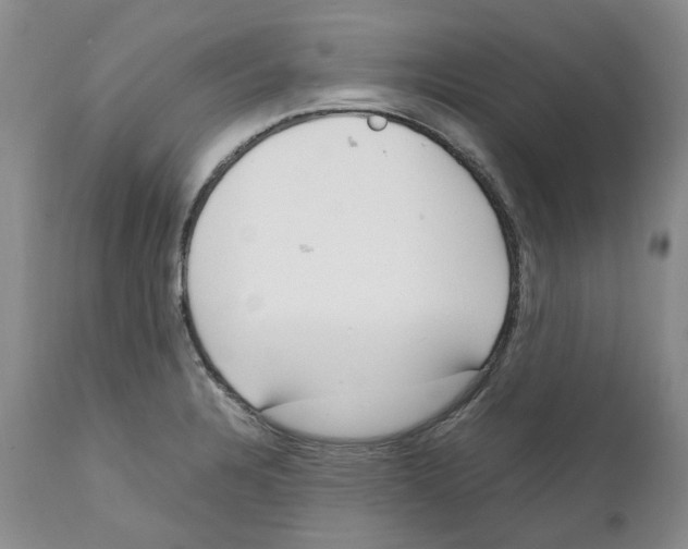 X0000111921328200908241041