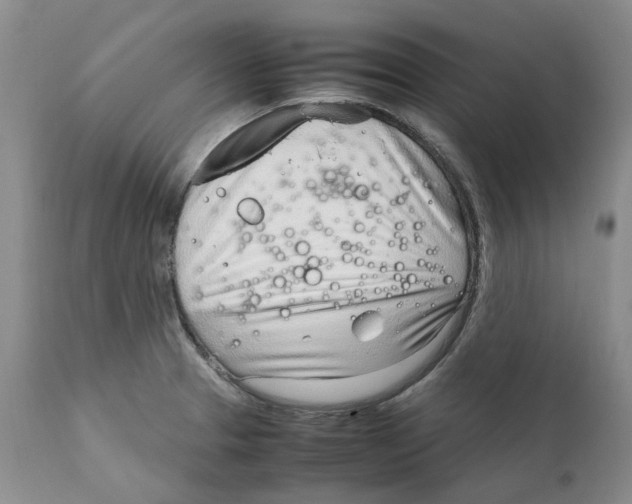 X0000111921329200908241041