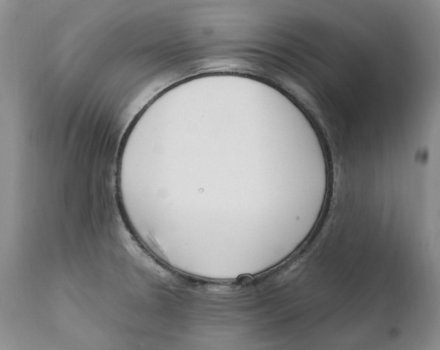 X0000111921330200908241041