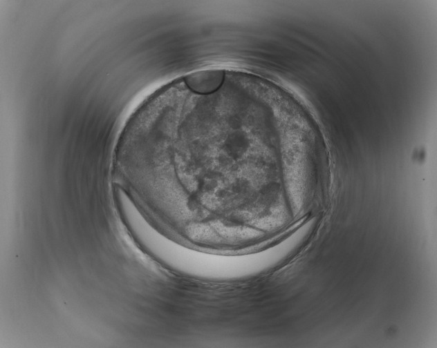 X0000111921331200908241041