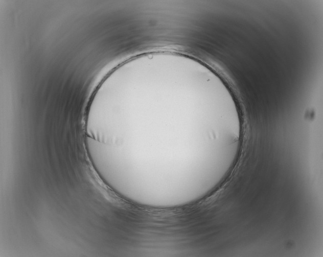 X0000111921332200908241041