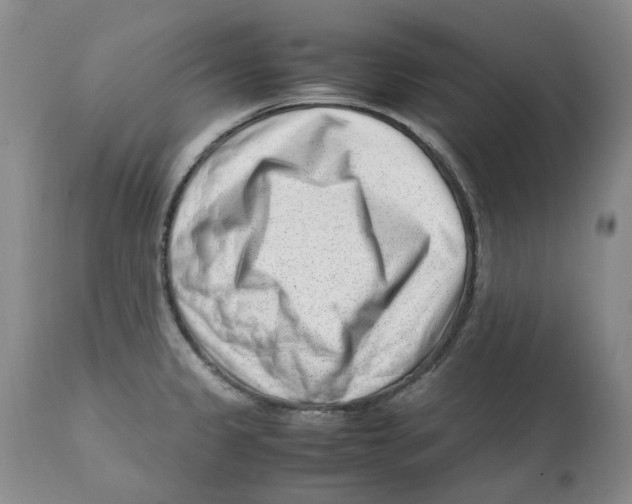 X0000111921333200908241041