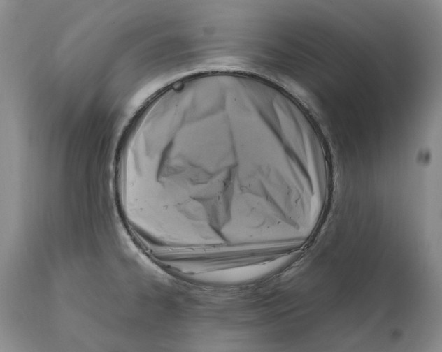 X0000111921334200908241041