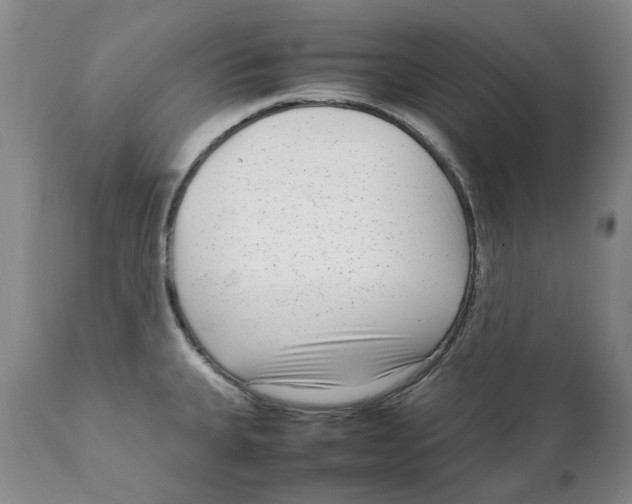 X0000111921335200908241041