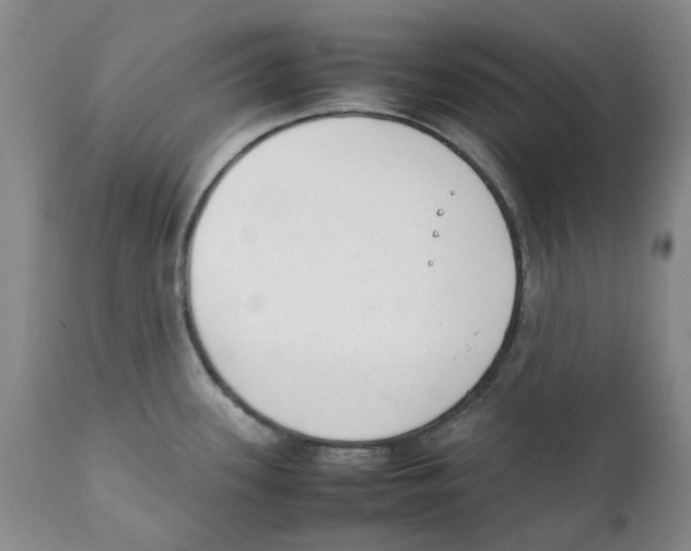 X0000111921339200908241041