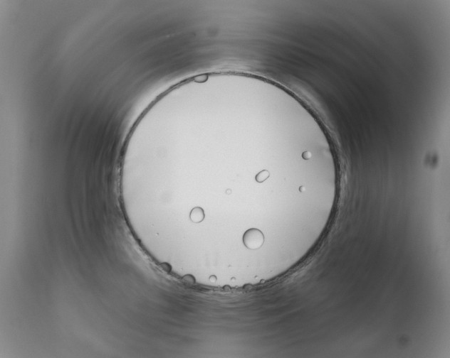 X0000111921340200908241041