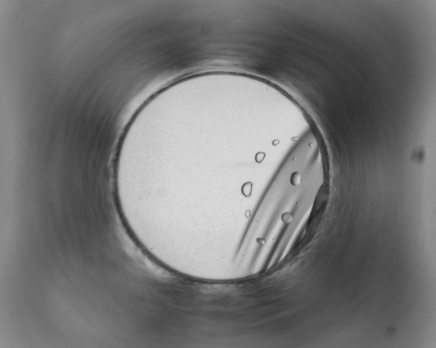 X0000111921341200908241041