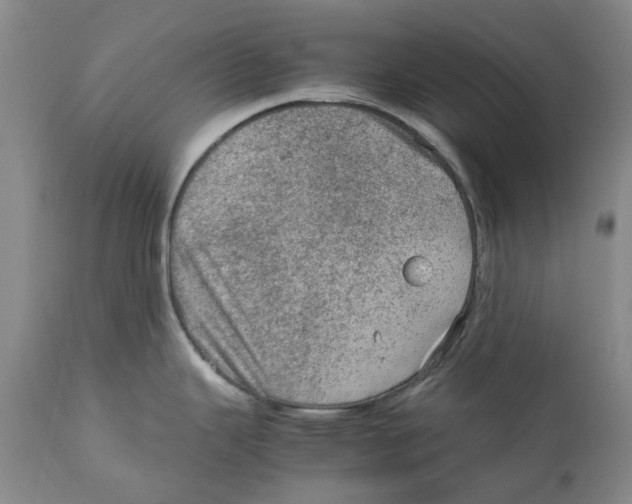 X0000111921343200908241041