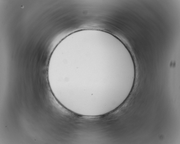 X0000111921344200908241041