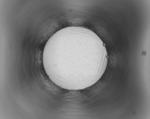 X0000111921346200908241040