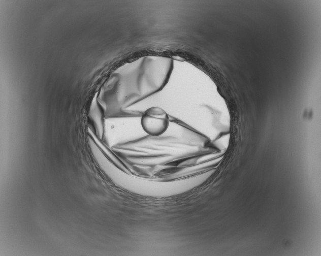 X0000111921349200908241040