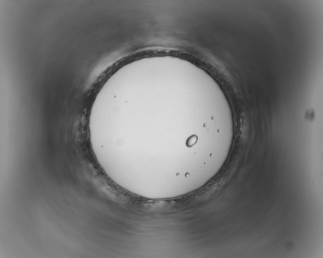 X0000111921352200908241040