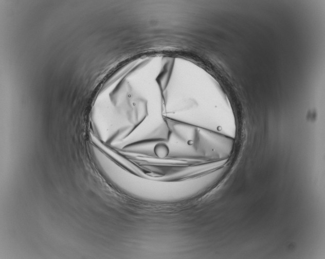 X0000111921353200908241040