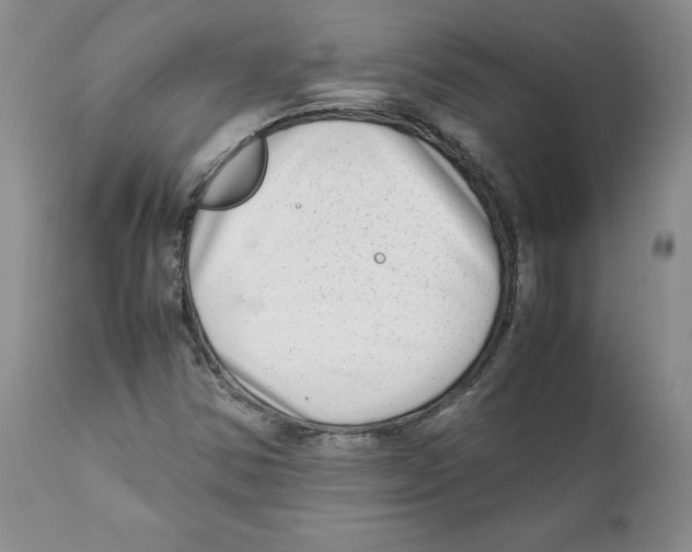 X0000111921354200908241040