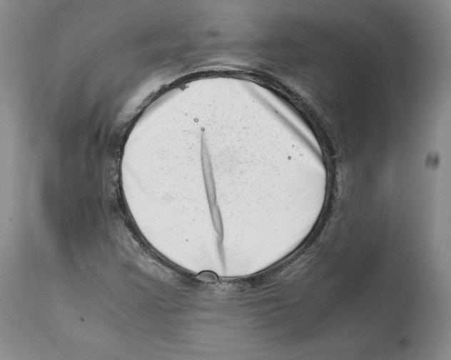 X0000111921355200908241040