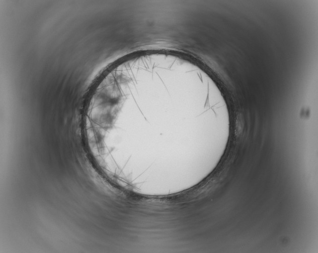 X0000111921356200908241040