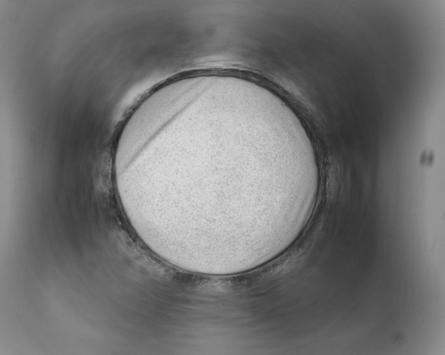 X0000111921358200908241040