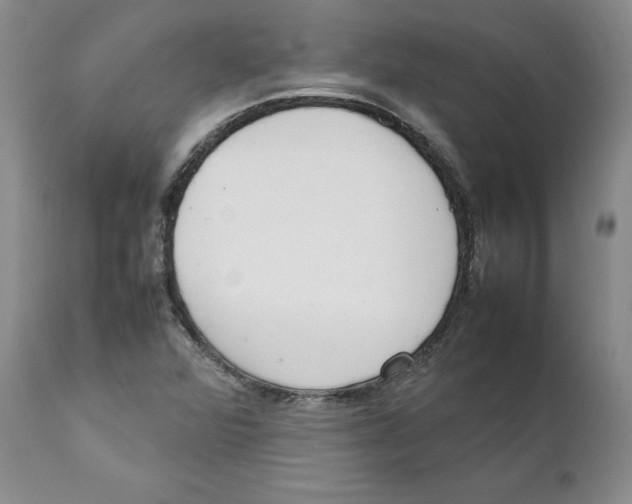 X0000111921360200908241040