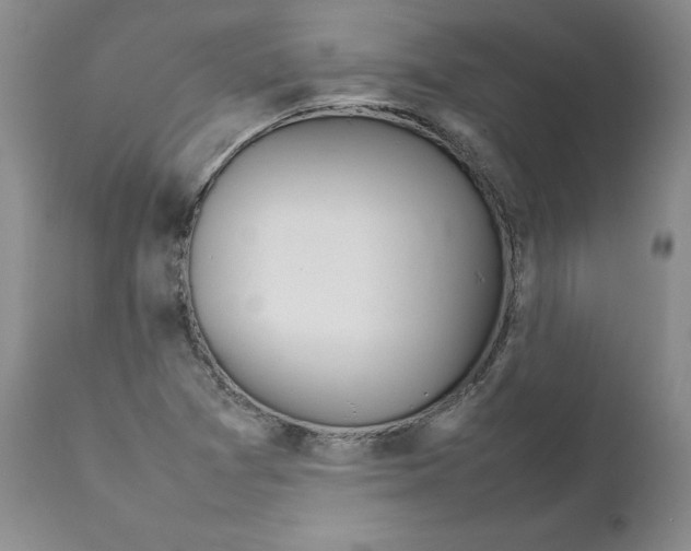 X0000111921361200908241040