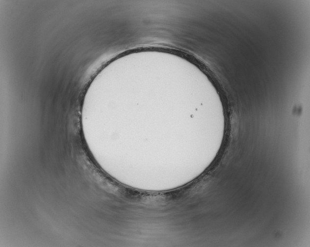 X0000111921363200908241040