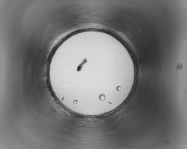 X0000111921364200908241040