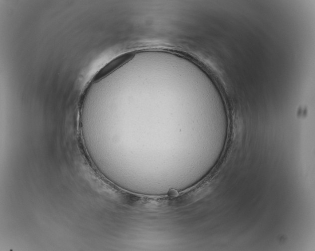 X0000111921365200908241040